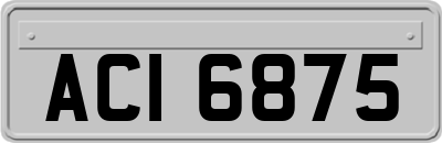 ACI6875