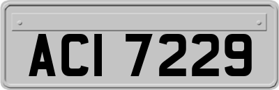 ACI7229