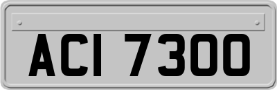 ACI7300