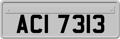 ACI7313