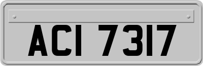 ACI7317