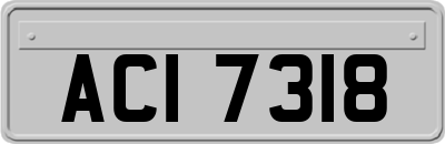 ACI7318