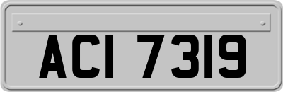 ACI7319