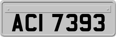 ACI7393