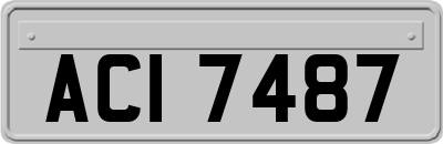 ACI7487
