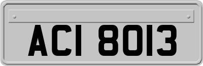 ACI8013