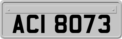 ACI8073
