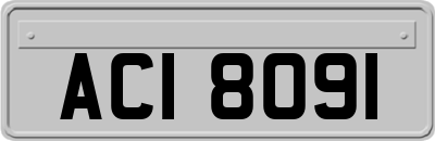 ACI8091