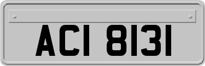ACI8131