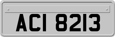 ACI8213