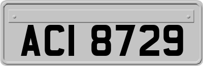 ACI8729