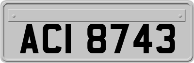 ACI8743