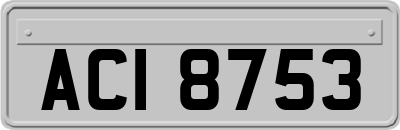 ACI8753