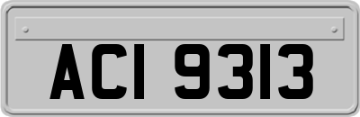 ACI9313