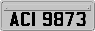 ACI9873