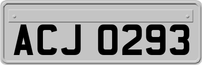 ACJ0293