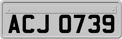 ACJ0739