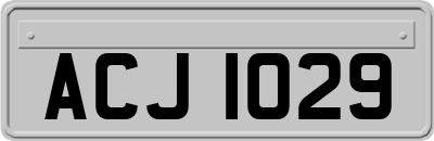 ACJ1029
