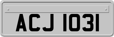 ACJ1031