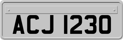 ACJ1230
