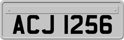 ACJ1256