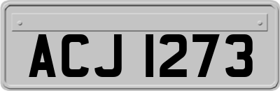 ACJ1273