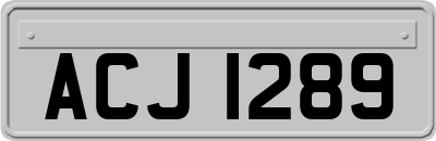 ACJ1289