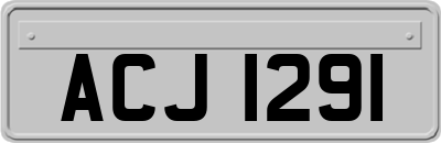 ACJ1291