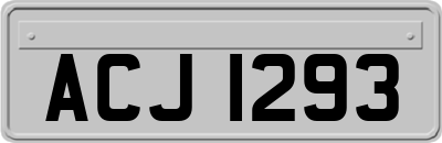 ACJ1293