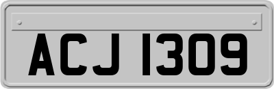 ACJ1309