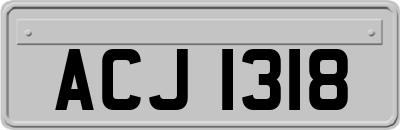 ACJ1318