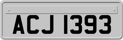 ACJ1393