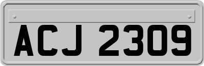 ACJ2309