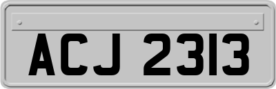 ACJ2313