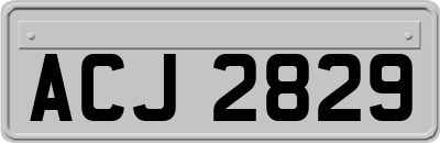 ACJ2829