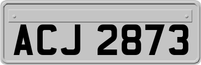 ACJ2873