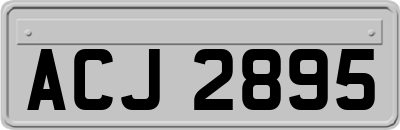 ACJ2895