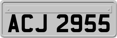 ACJ2955