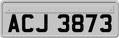 ACJ3873