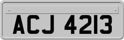 ACJ4213