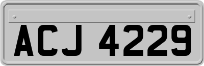 ACJ4229