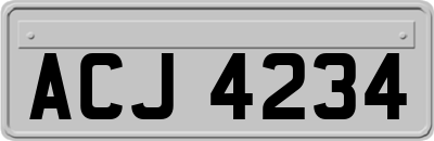 ACJ4234
