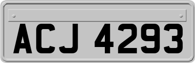 ACJ4293
