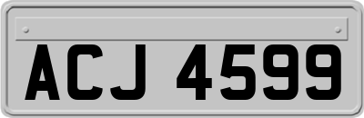 ACJ4599