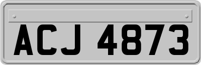 ACJ4873