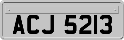 ACJ5213