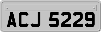 ACJ5229