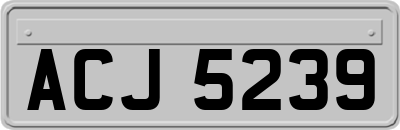 ACJ5239