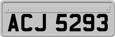 ACJ5293