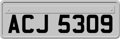 ACJ5309